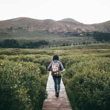 Load image into Gallery viewer, Topo Designs X TSPTR Rover Pack