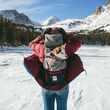 Load image into Gallery viewer, Topo Designs x Woolrich Rover Pack