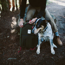 Load image into Gallery viewer, Topo Designs x Woolrich Span Daypack